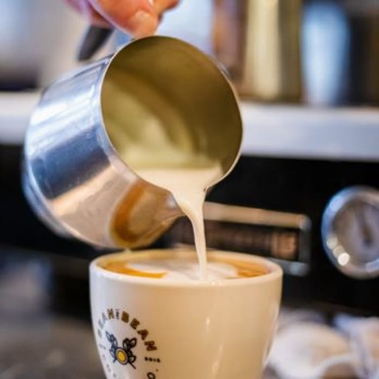 Indulge in Our Lattes